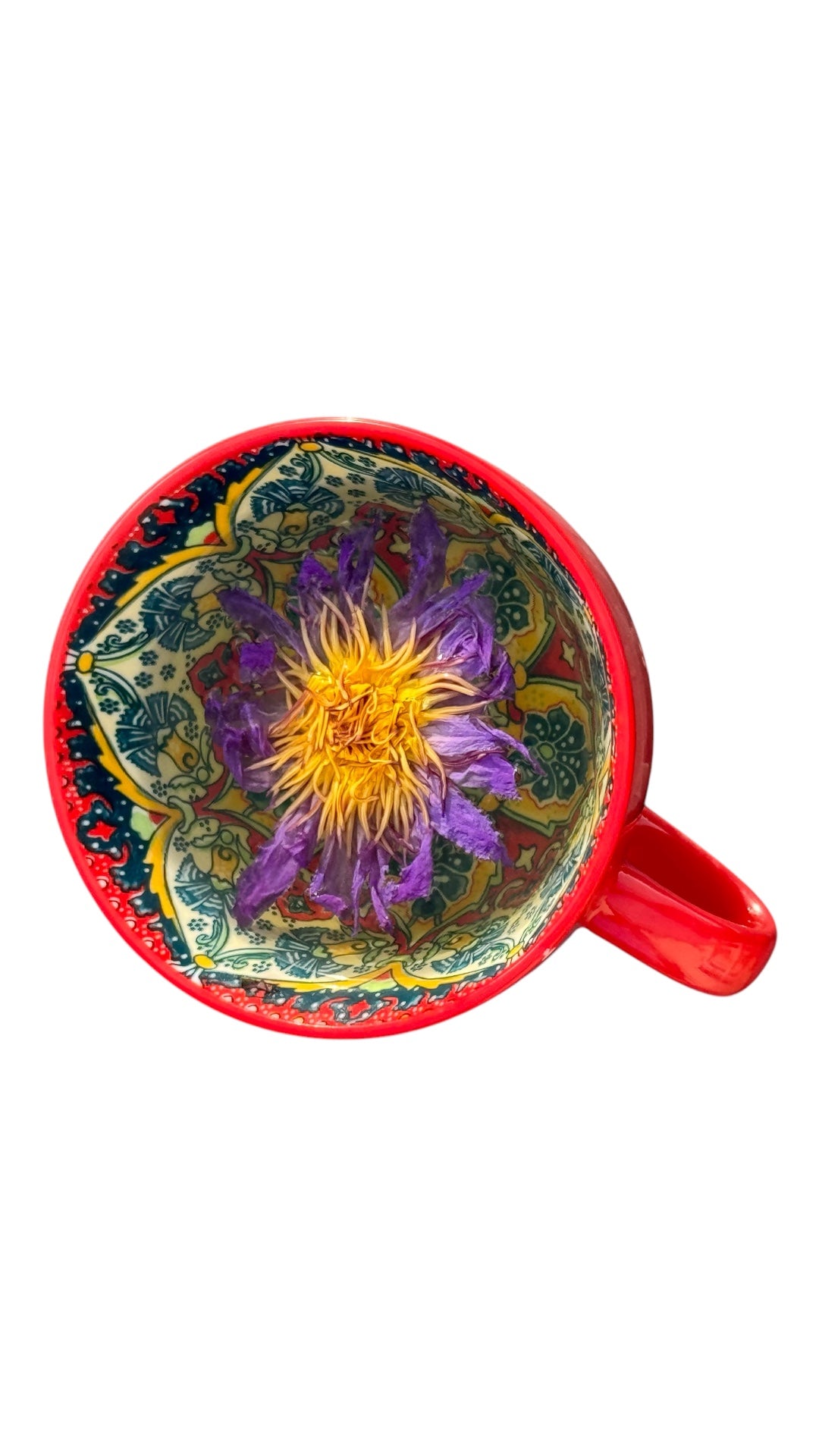 Blue Lotus Small Flowers Sample Pack - 5 flowers.