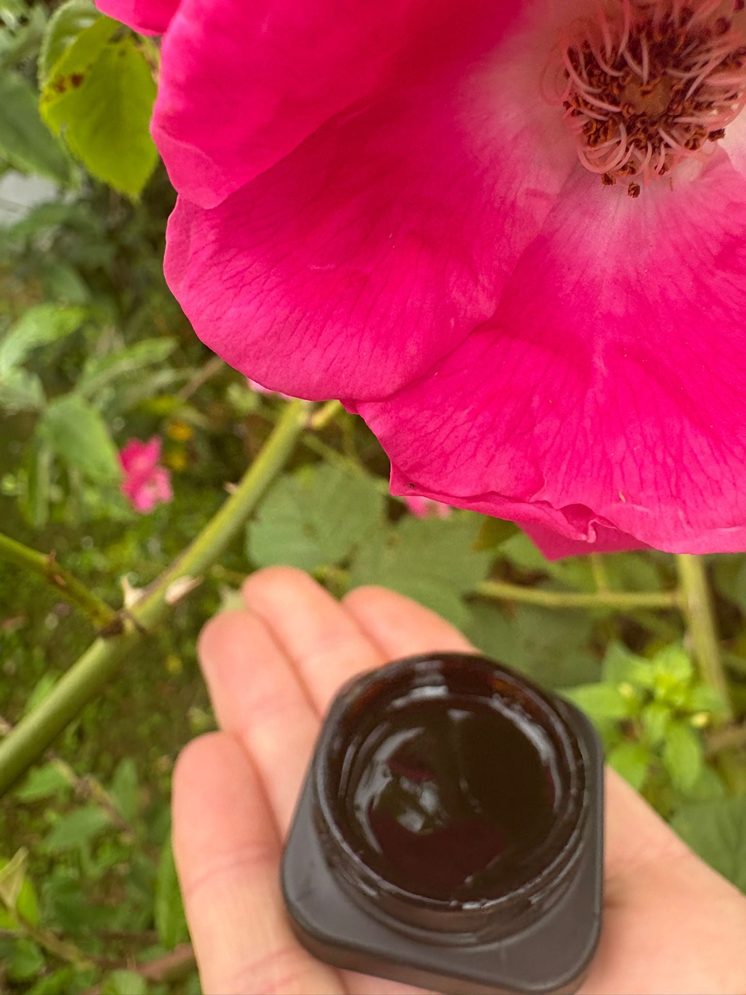 Eminence Shilajit Soft Resin - Himalayas. 10g. Ayurvedic.