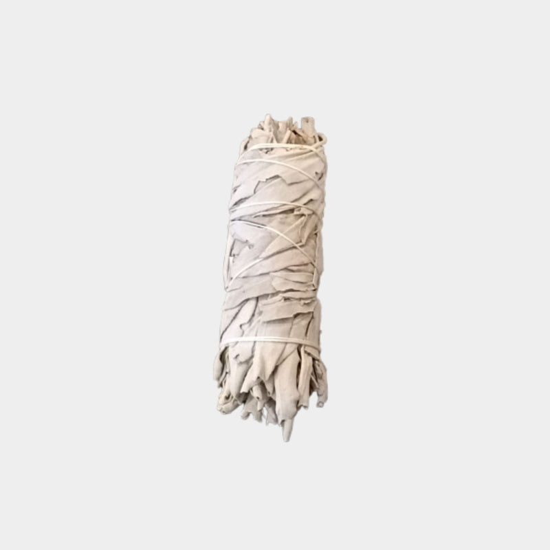 White Sage - Smudge Stick (10cm)