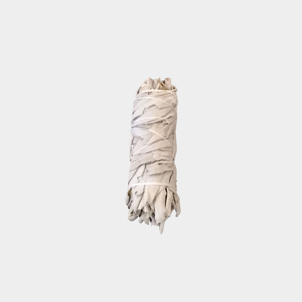 White Sage - Smudge Stick (10cm)