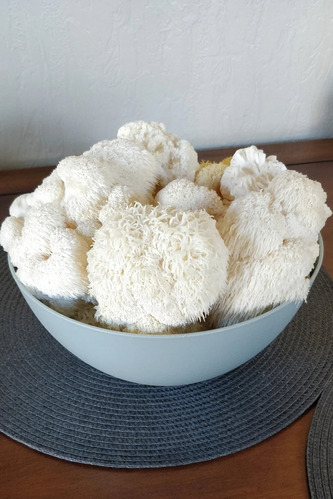 Lions Mane Mushroom Powder - 100% Pure